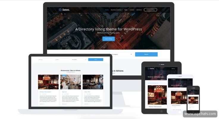 What Are the Best WordPress Themes?